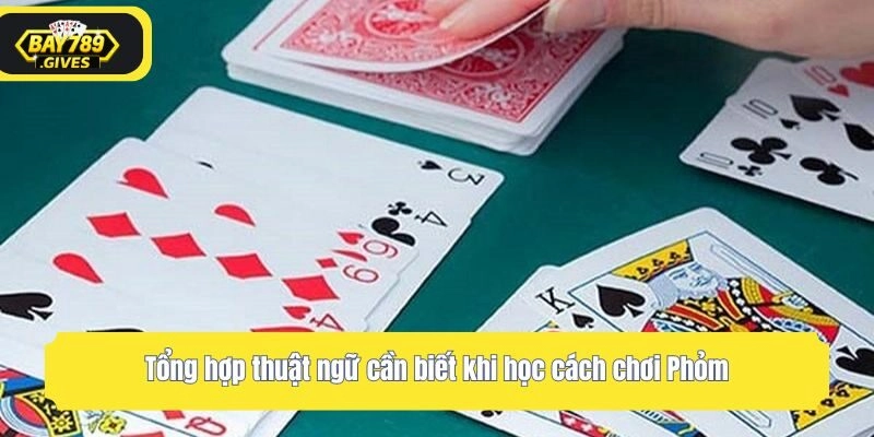 Tổng hợp thuật ngữ cần biết khi học cách chơi Phỏm