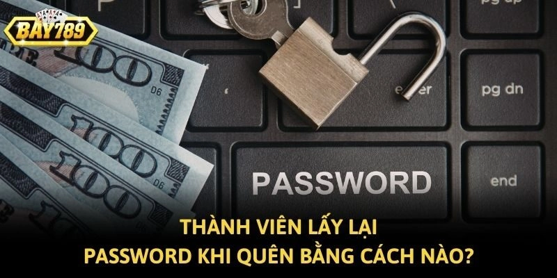 Thành viên lấy lại password khi quên bằng cách nào?